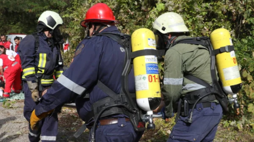 Ataque de abelhas em Goianésia mobiliza Bombeiros