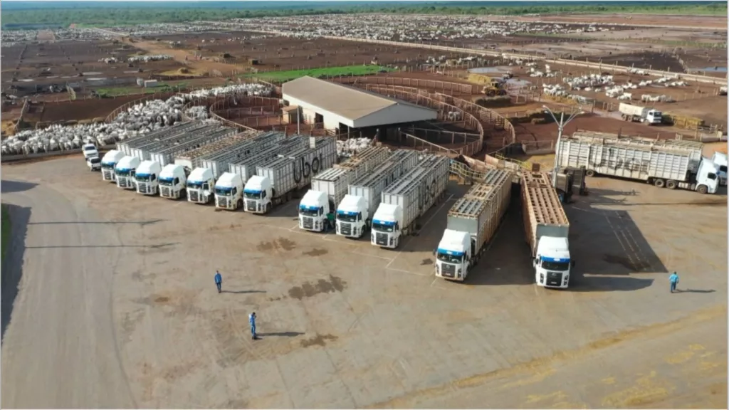 Boiadeiro modernizado: conforto e qualidade 9 Viu esta? Transporte boiadeiro modernizado garante mais conforto e qualidade