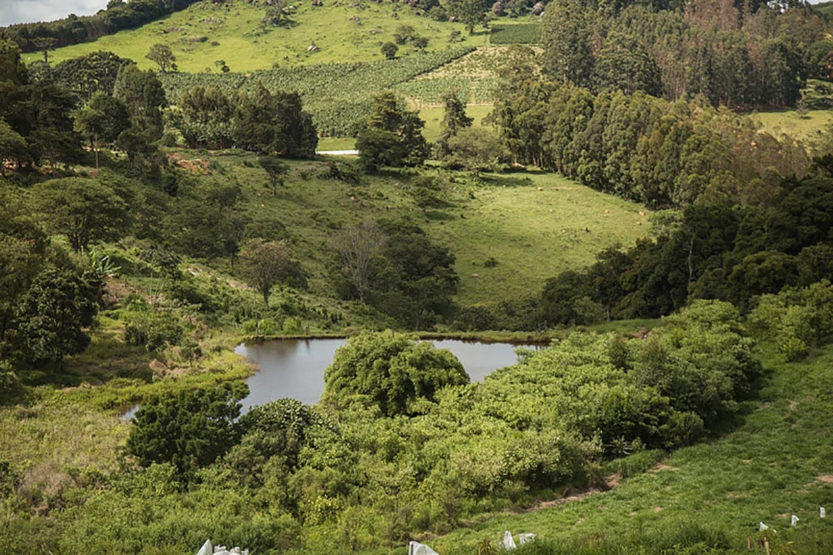 Brasil investe em restauração de ecossistemas 3 Brasil ganha Rede de Restauração de Ecossistemas