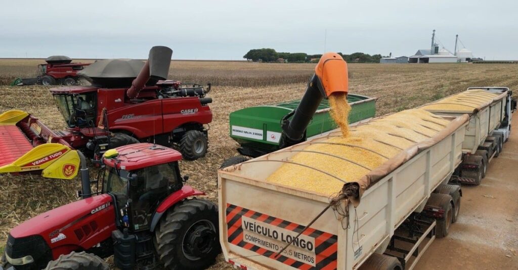Com colheita do milho acelerada, produtores buscam avançar na comercialização