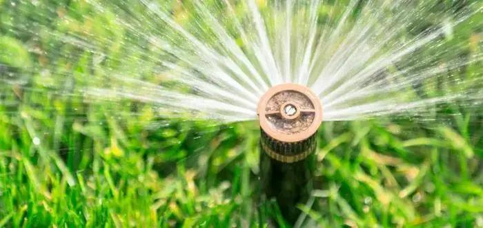 Como Maximizar a Produtividade com a Irrigação Eficiente