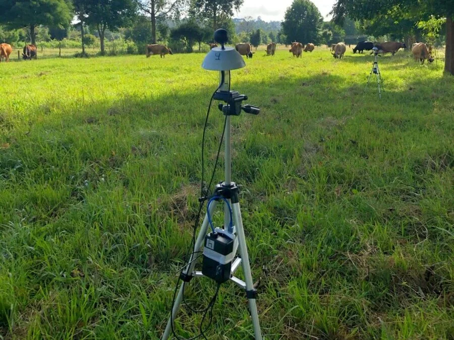 benefícios para os animais e o meio ambiente – O Presente Rural