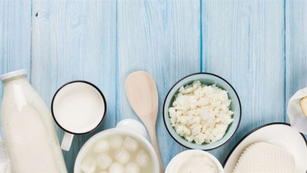 descubra as novidades na producao de laticinios 1