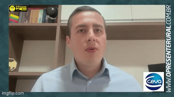 Reposição correta de matrizes suínas é sinônimo de produtividade – O Presente Rural