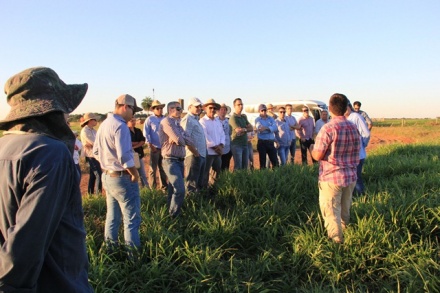 Descubra como Mato Grosso se destaca na produção integrada do Brasil!