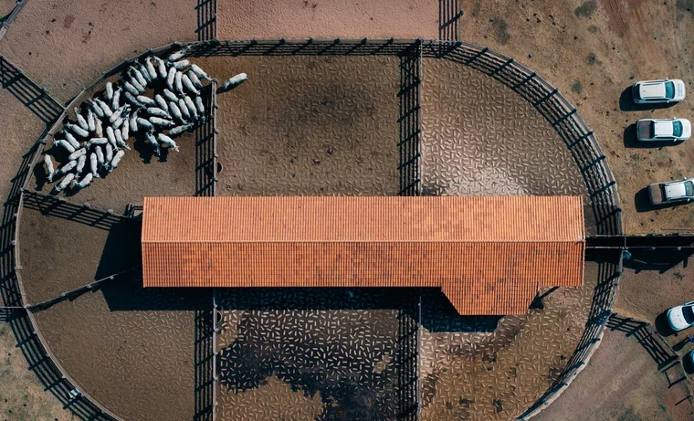 Descubra os benefícios da Integração Lavoura-Pecuária na Expedição Confina Brasil 4 MS: expedição Confina Brasil e os ganhos da ILP