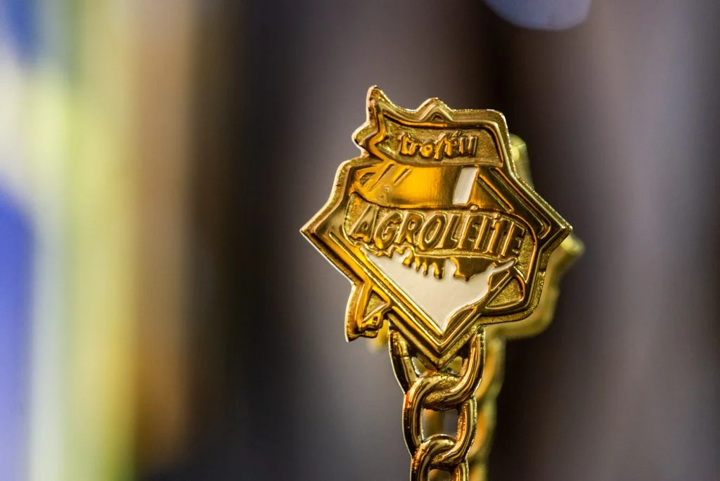 Descubra os indicados do P1 News 4 Finalistas Troféu Agroleite 2024: conheça os indicados