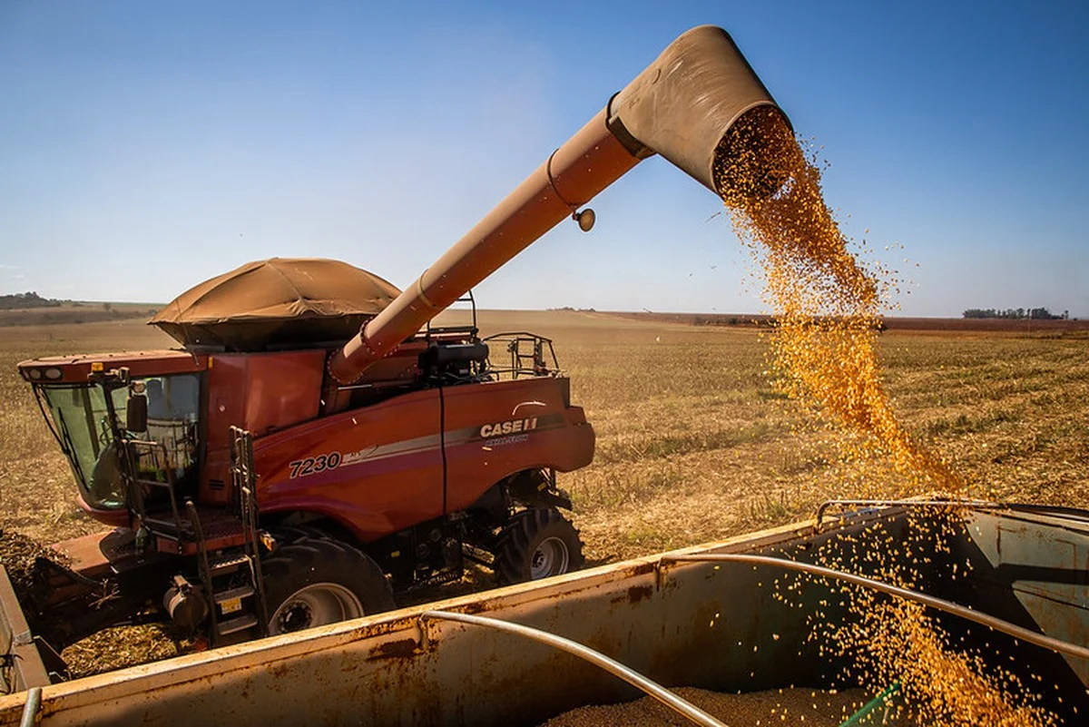 Desempenho excepcional: Colheita do milho em Mato Grosso atinge índice impressionante 1 Colheita de milho supera 76% da área em Mato Grosso | Agricultura