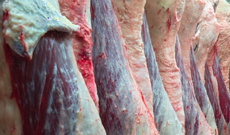 Desvendando o mercado de exportação de carne bovina: junho 2015-2024