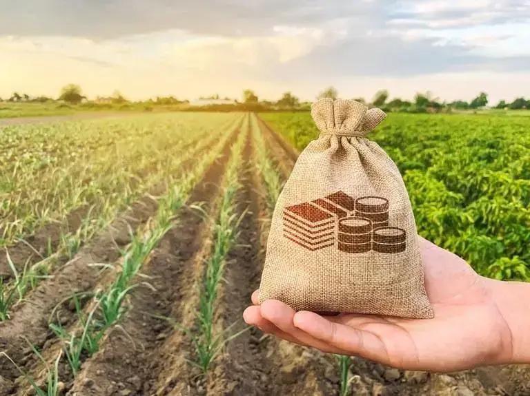 Dicas Para Fortalecer Sua Cooperativa Agrícola Dicas Para Fortalecer Sua Cooperativa Agrícola