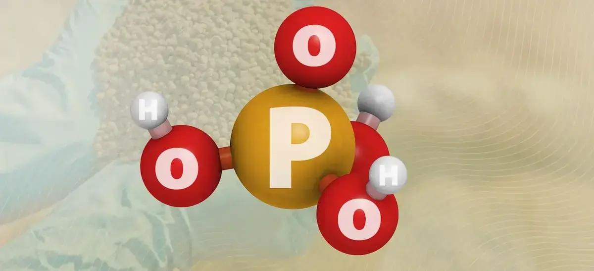 Dicas Práticas para Maximizar a Absorção de Fósforo Dicas Práticas para Maximizar a Absorção de Fósforo