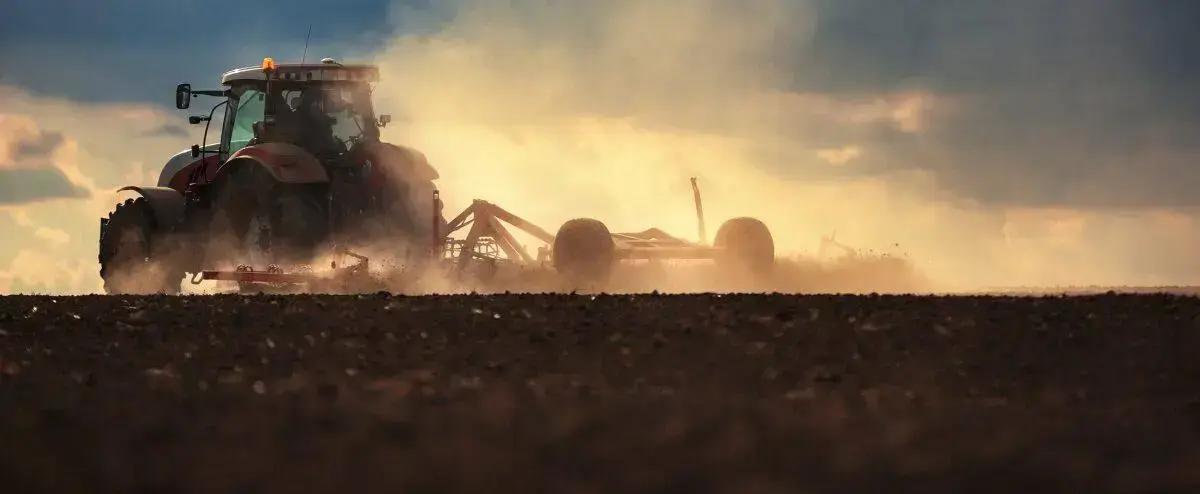 Erros Comuns na Utilização do Gesso Agrícola