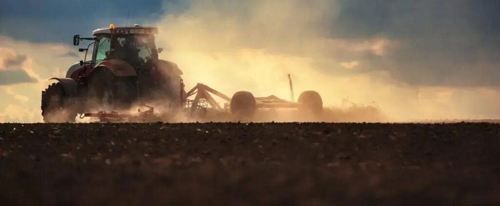 Gesso Agrícola: 7 Erros Que Estão Sabotando Sua Produção! 2 gesso agricola 7 erros que estao sabotando sua producao