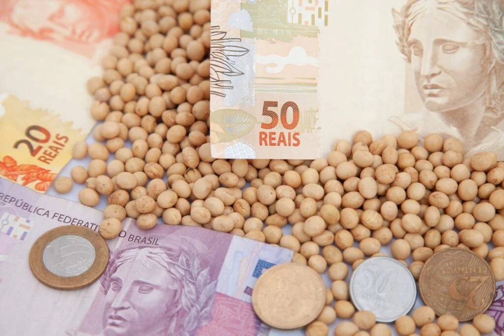 Mercado da soja: fechamento da semana 6 Veja como o mercado da soja fechou a semana