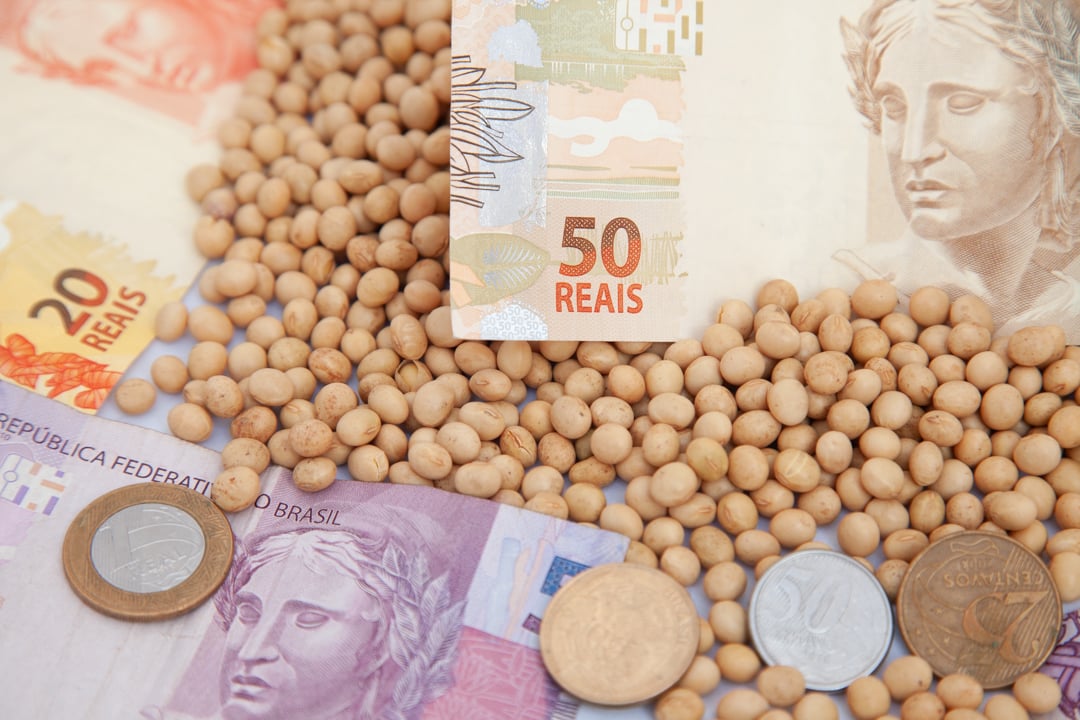 Mercado da soja: fechamento da semana