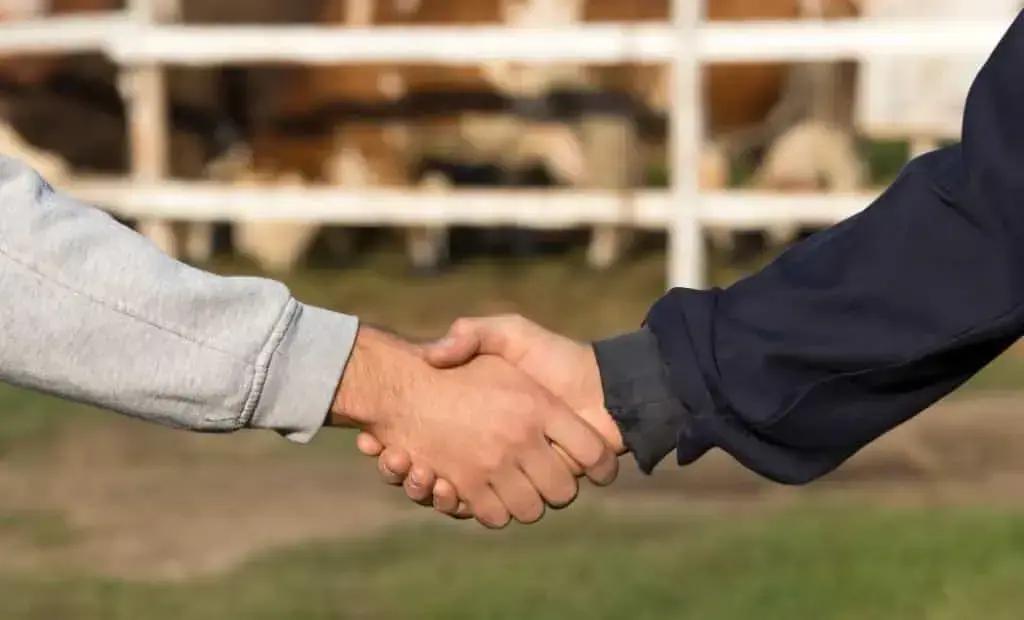 Onde Buscar Ajuda em Caso de Violação de Direitos?