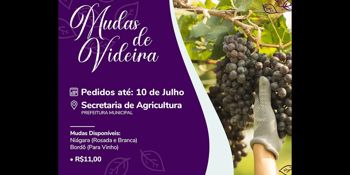 Pedidos de mudas de videira