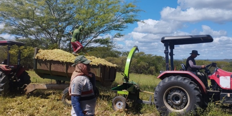 Prefeitura da Prata investe na produção de silagem para o desenvolvimento agrícola - Cariri em Ação