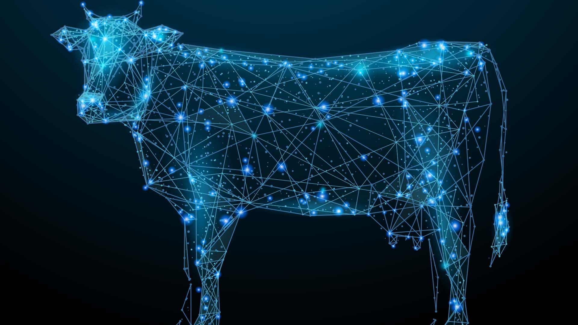 Saúde animal e tecnologia