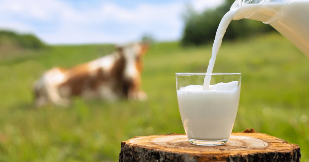 a força da agricultura familiar em Mato Grosso – Noticias R7