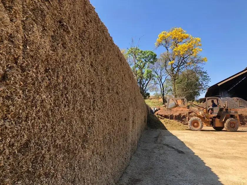 Silos de Concreto: Resistência e Segurança para Armazenamento a Longo Prazo Silos de Concreto: Resistência e Segurança para Armazenamento a Longo Prazo