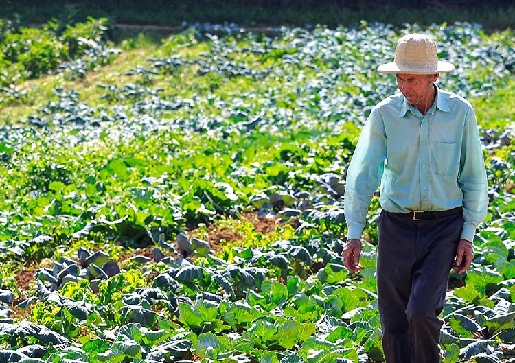 solos saudaveis para salvar o clima 1