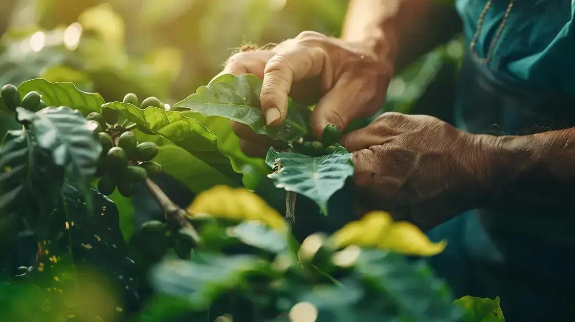 Tipos de Poda e Quando Fazer