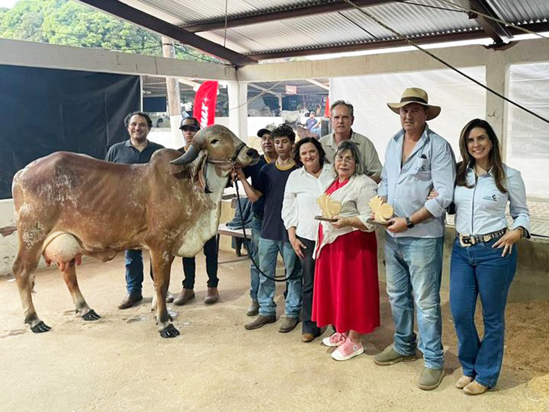 Vaca campeã produz quase 190 kg de leite: 2ª maior produção global