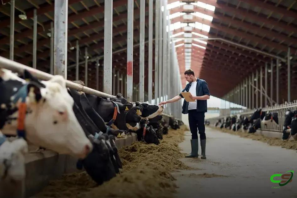 5 Interações Medicamentosas em Bovinos que Você Precisa Conhecer