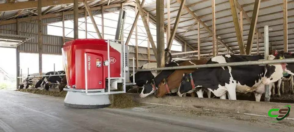 7 Segredos da Fábrica de Ração para Bovinos Leiteiros