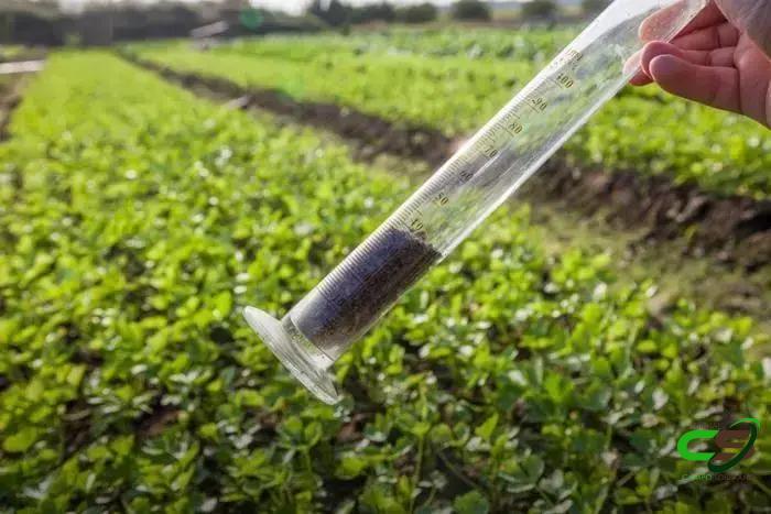 8 Dicas Poderosas para uma Análise de Solo Eficiente