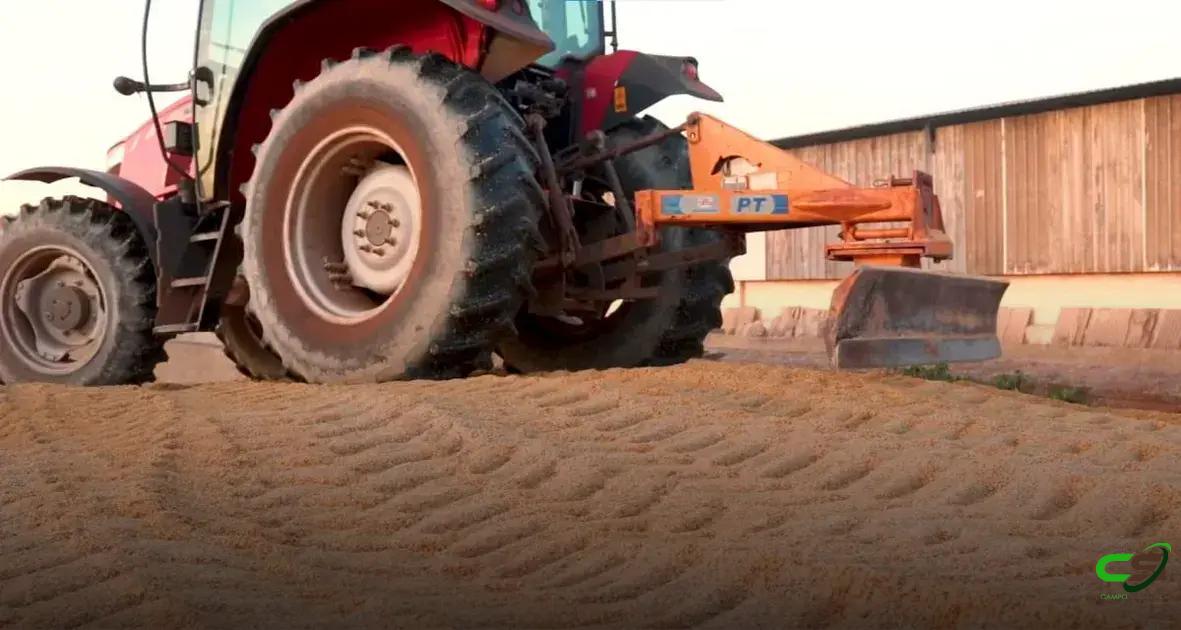 8 Estratégias Eficazes para a Reidratação do Milho