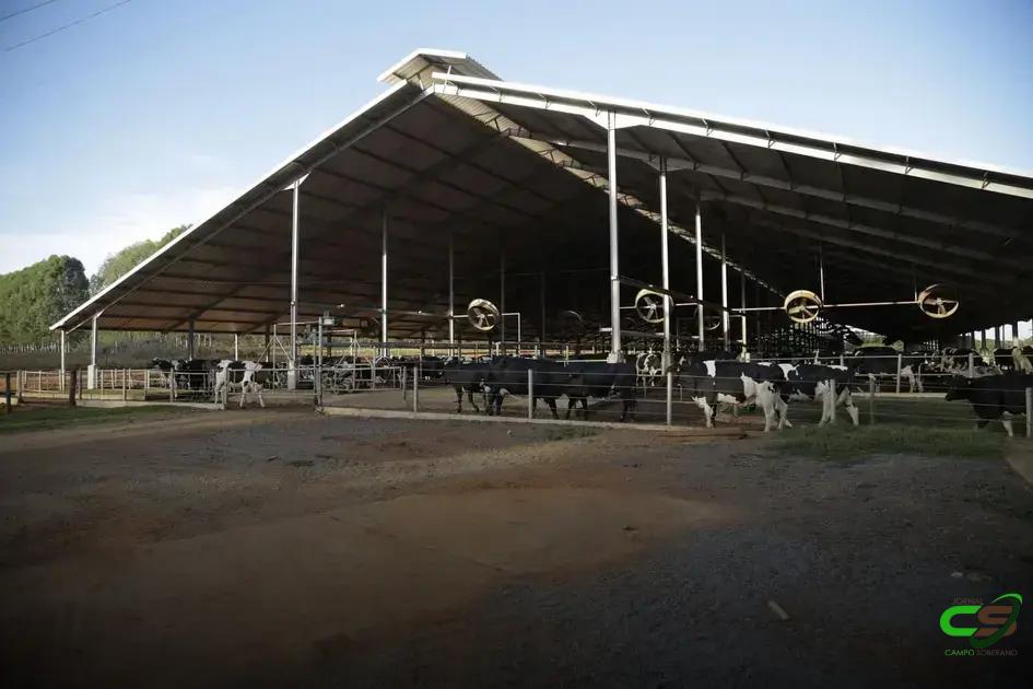 8 Estratégias para Aumentar a Lucratividade da Pecuária Leiteira