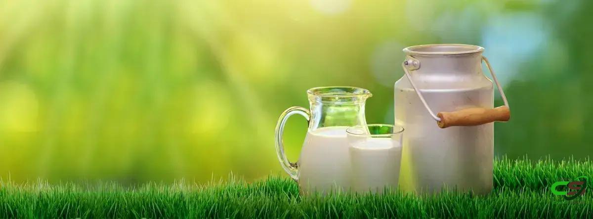 8 Fatos Surpreendentes sobre Contagem de Células Somáticas