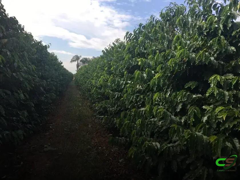 8 Razões para Usar Composto Orgânico em Seu Solo