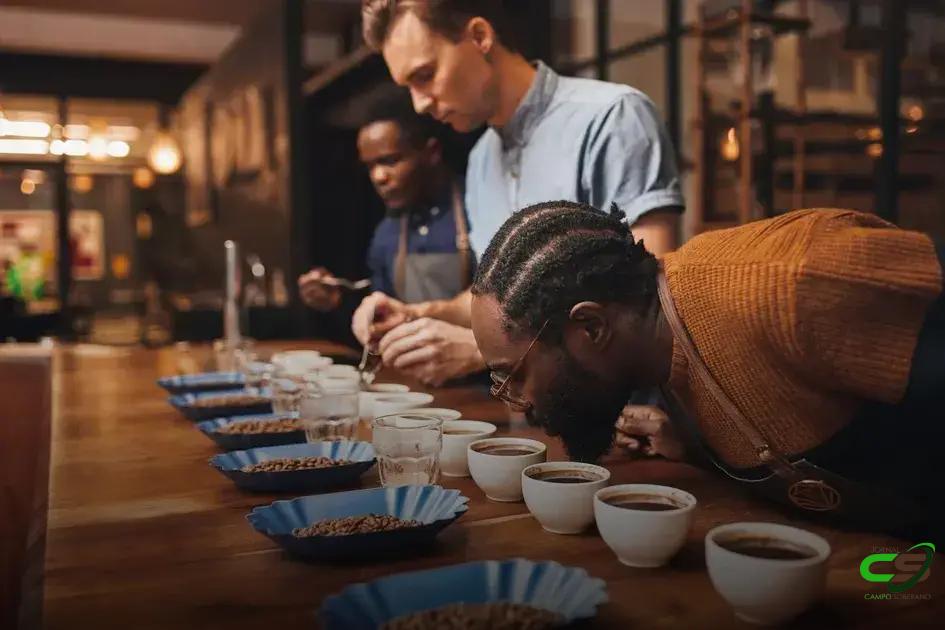 8 Segredos da Análise Sensorial do Café que Você Precisa Saber