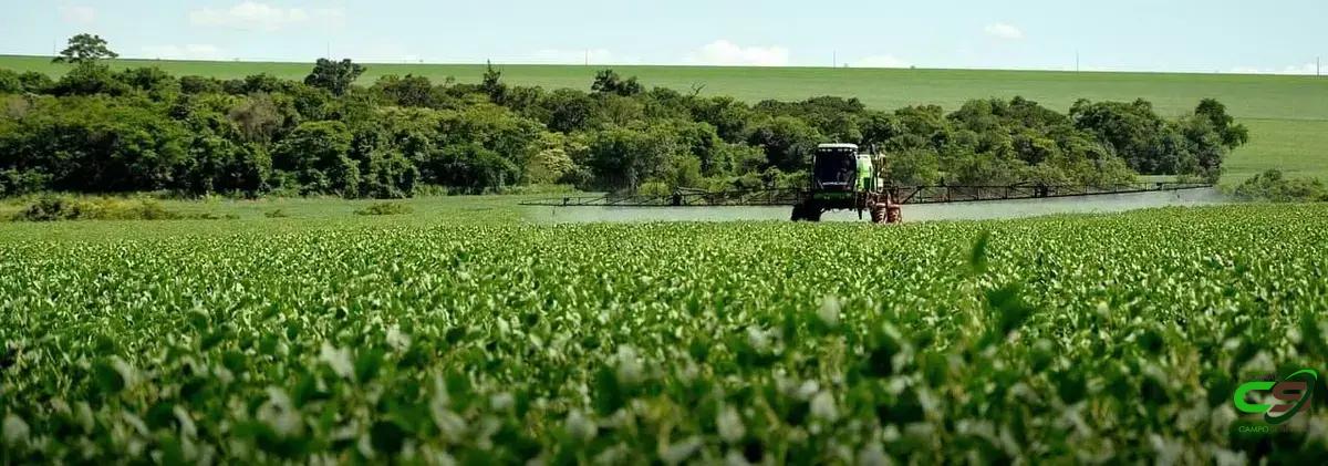 8 Tipos de Fungicidas que Todo Agricultor Deve Conhecer