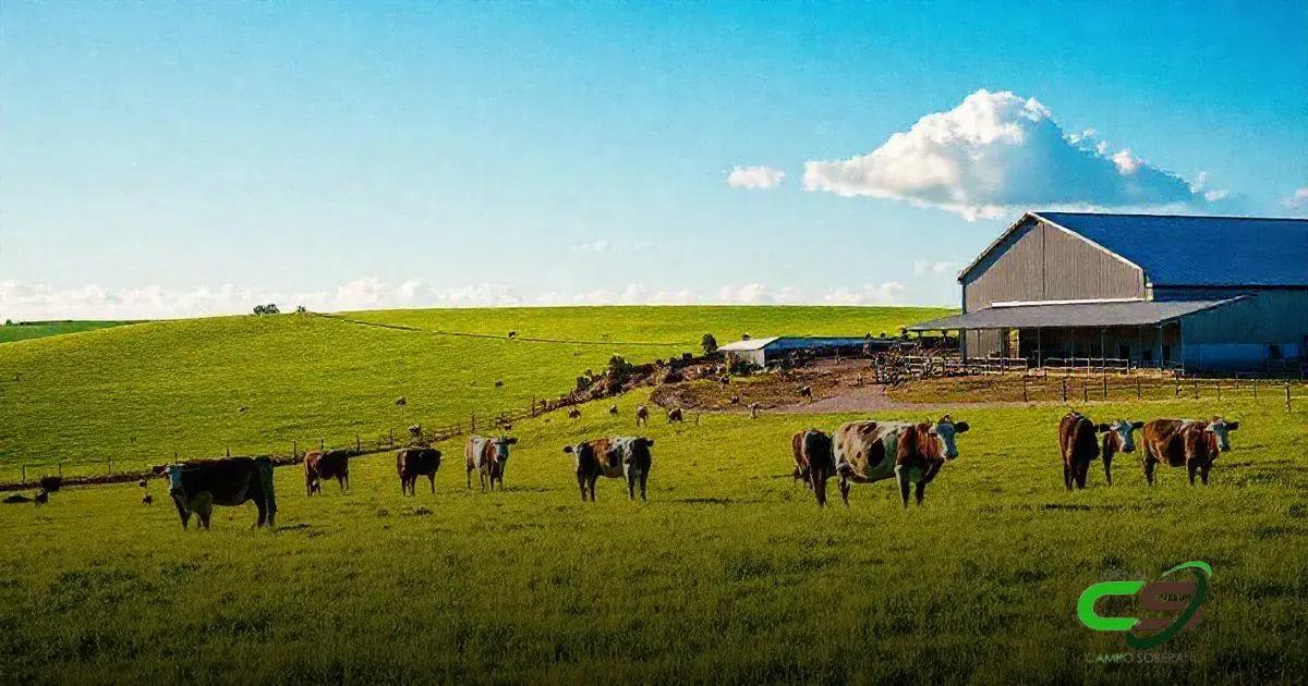 8 Fatores que Influenciam a Produção de Vacas Magras