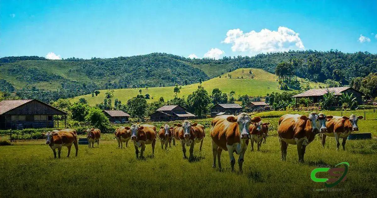 Manejo e Cuidados Especiais