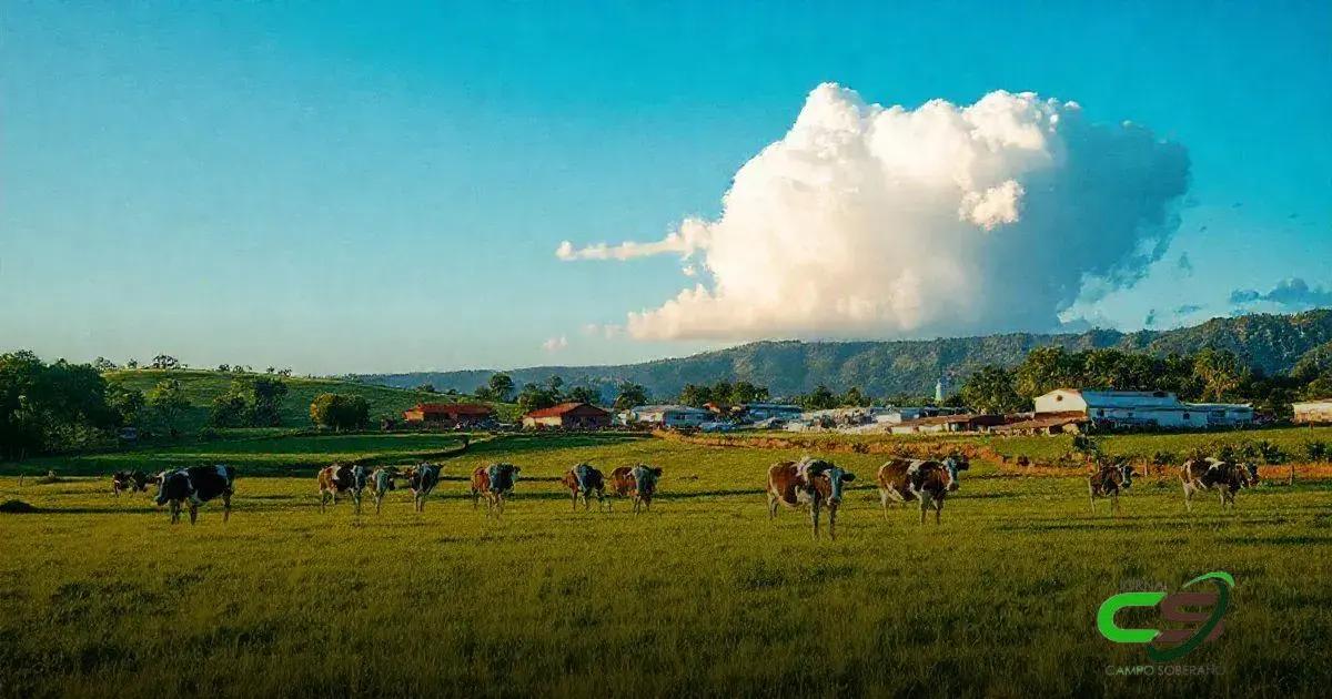 Top 8 Maiores Produtores de Leite no Brasil em 2023