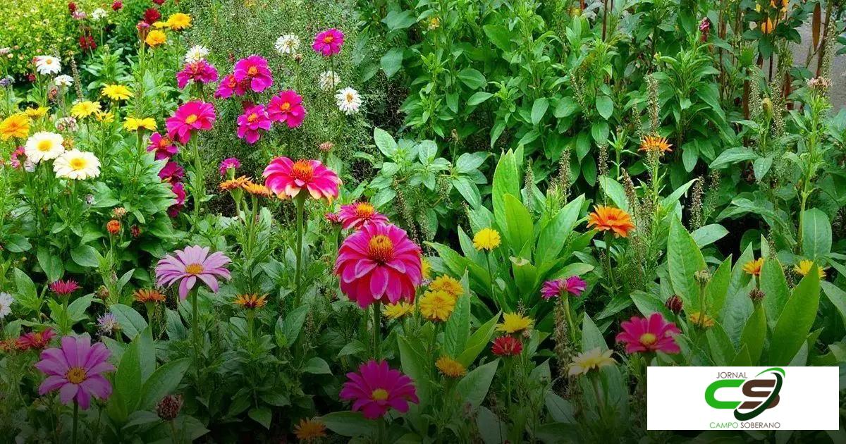 Adubo: Como Escolher o Melhor Para Seu Jardim em 2023