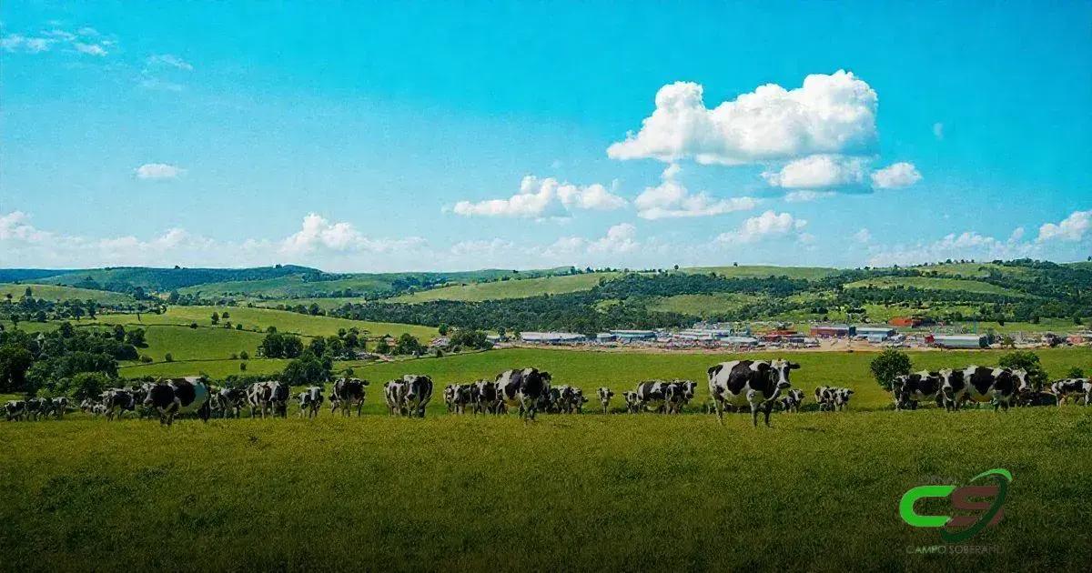 As 8 Maiores Produtoras de Leite do Brasil em 2023