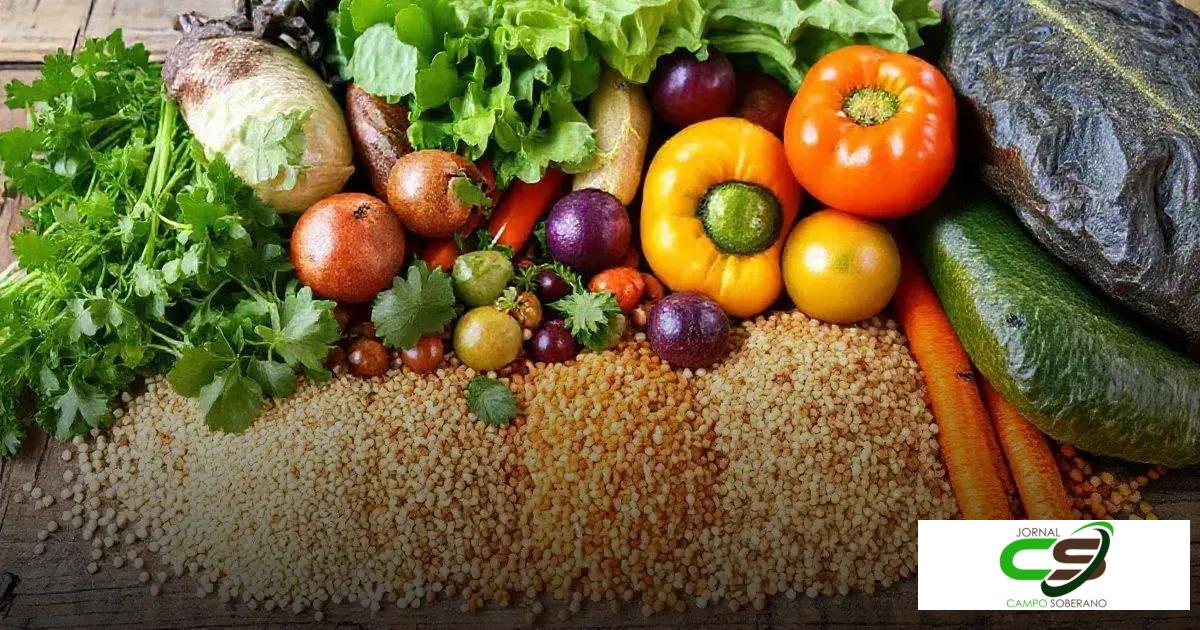 Benefícios nutricionais do sorgo