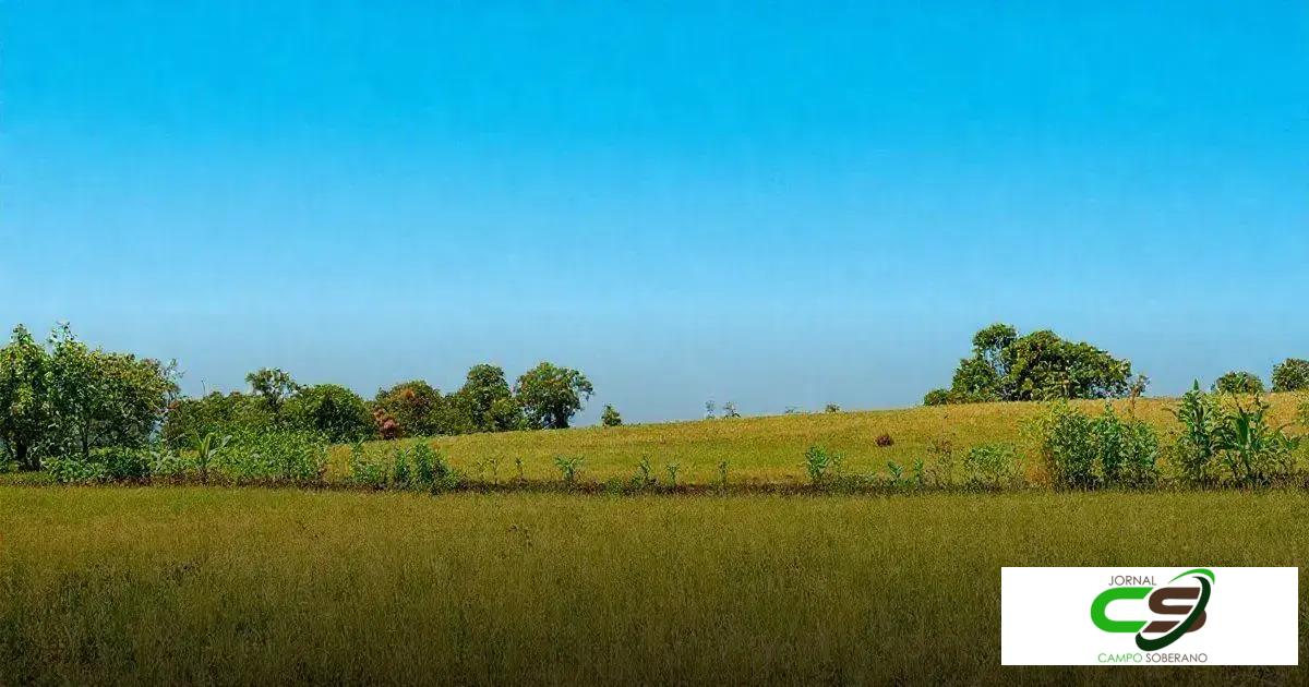 Como a pastagem influencia a sustentabilidade Como a pastagem influencia a sustentabilidade