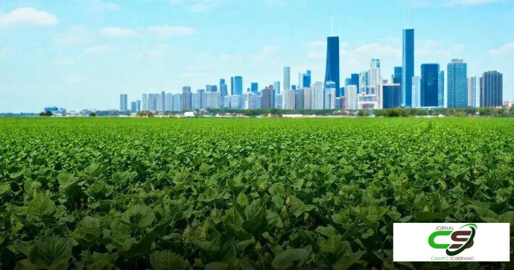 Cotações da soja em Chicago: O que você precisa saber