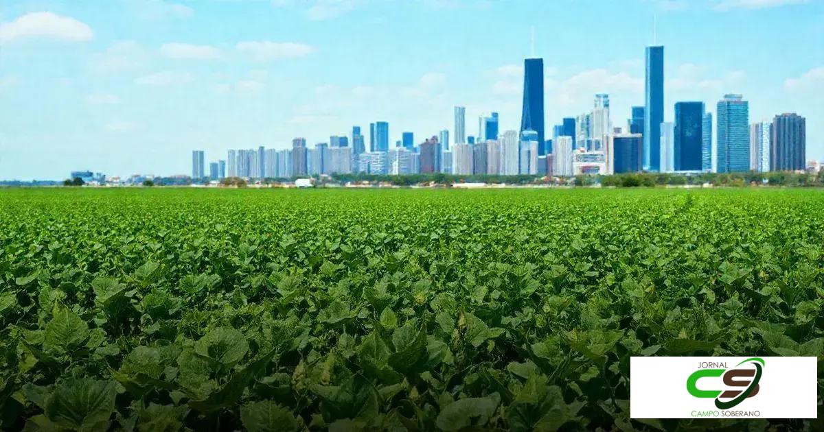 Cotações da soja em Chicago: O que você precisa saber