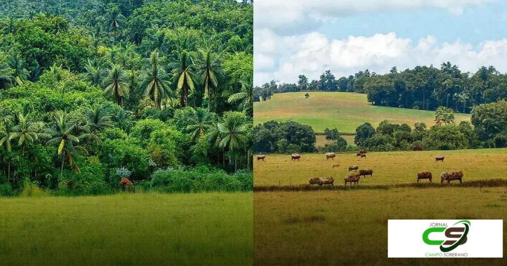 Diferenças e Semelhanças no Manejo de Pastagem Tropical e Temperada