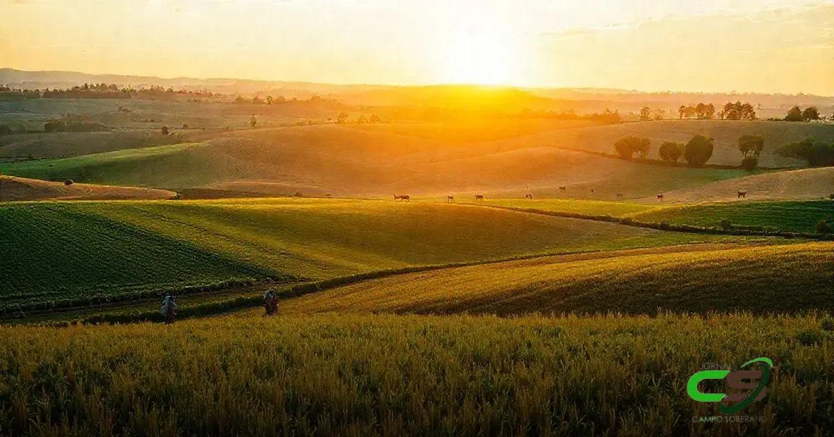 Importância do Espaço Aberto no Agronegócio