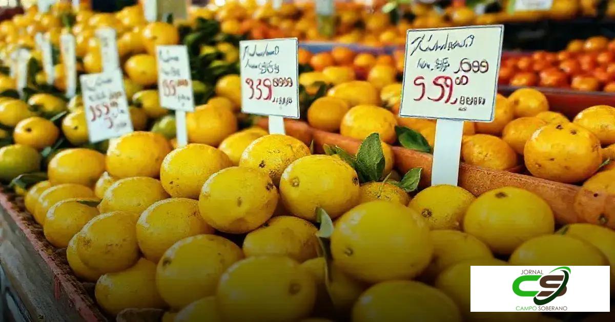 Limão Preço: Entenda os Fatores que Influenciam o Valor do Fruto