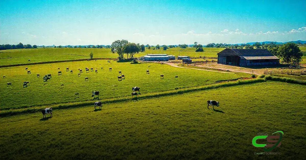 Os 8 Principais Fatores que Fazem do Brasil o Maior Produtor de Leite